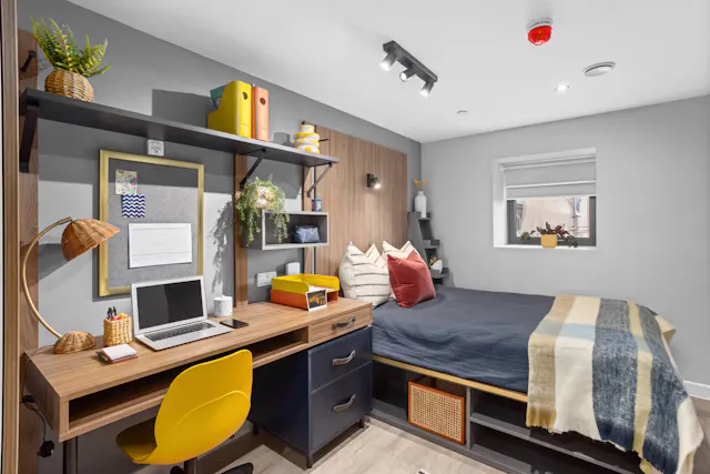 Premium Bigger 3 Bed Apartment room image 2