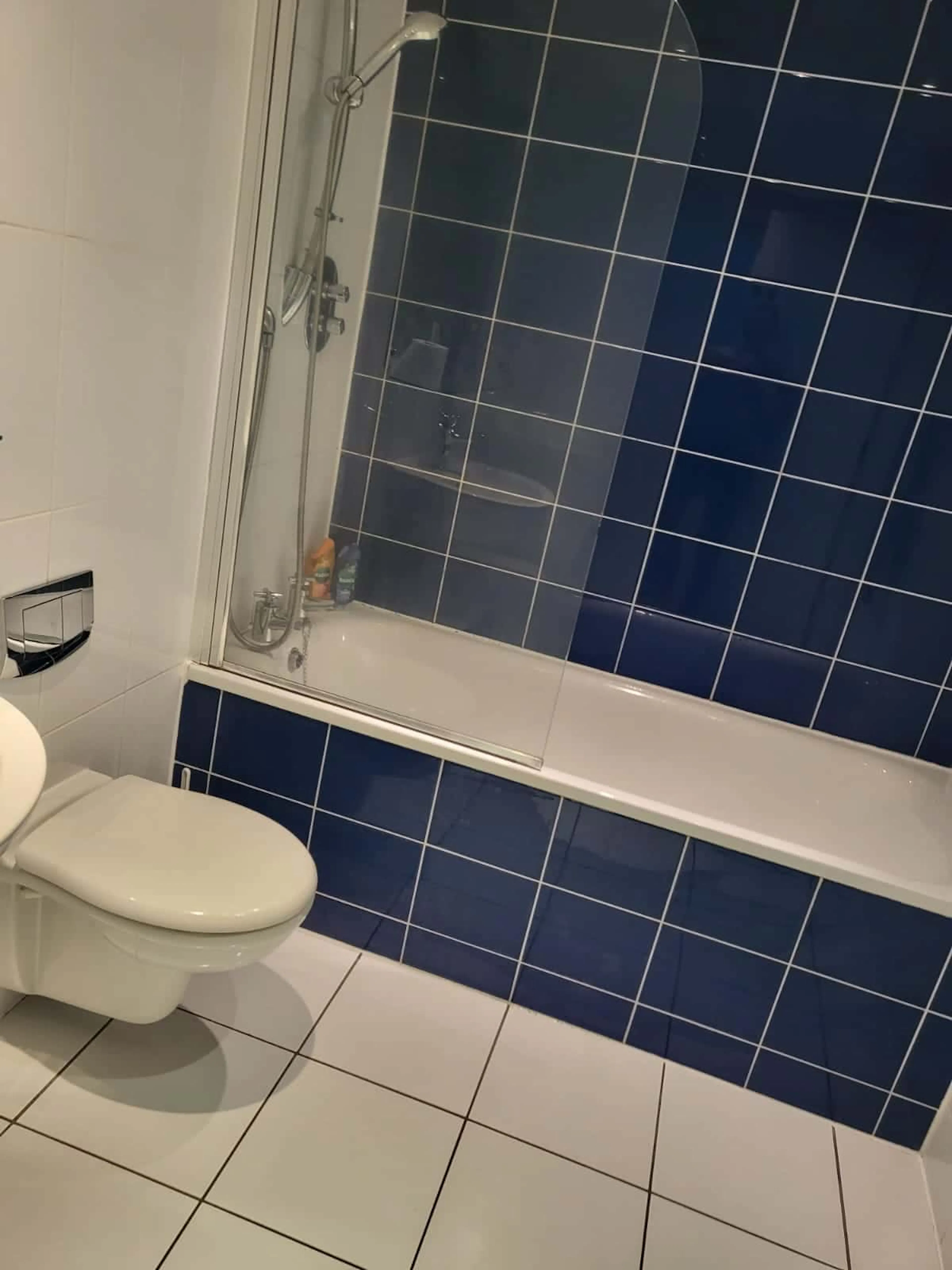 One room in 2 bedroom apartment BATHROOM 3