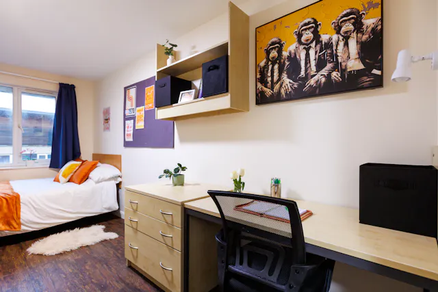 Bronze Standard room image 2