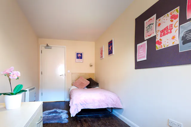 Silver Single room image 1