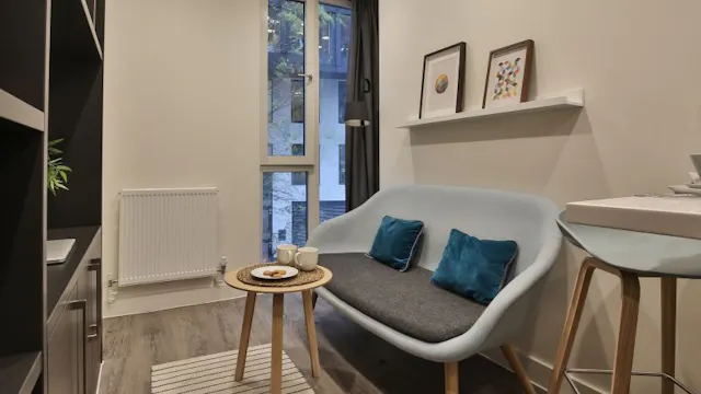 Two Bed Apartment Plus room image 13