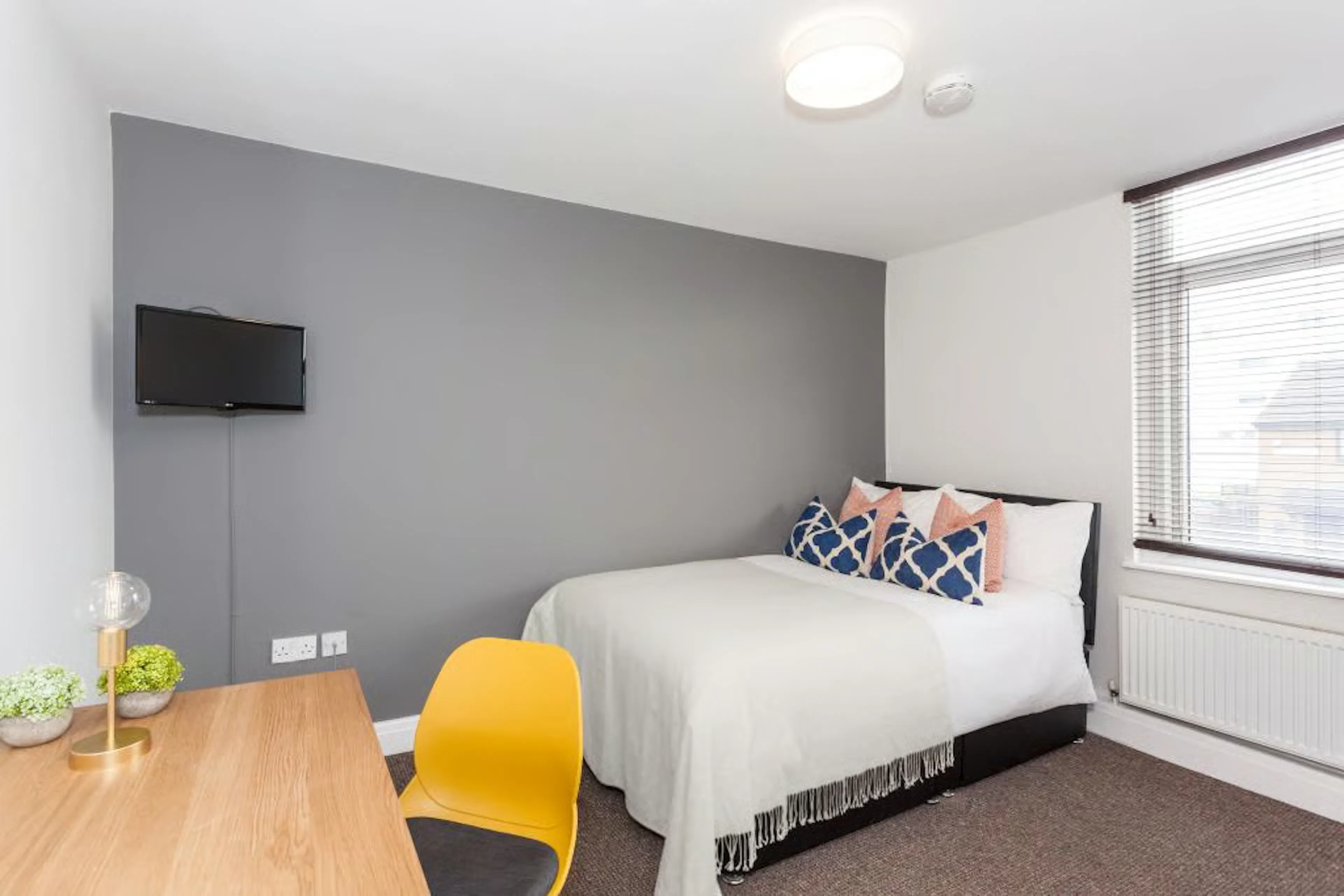 7 Bedroom Apartment ROOM 1