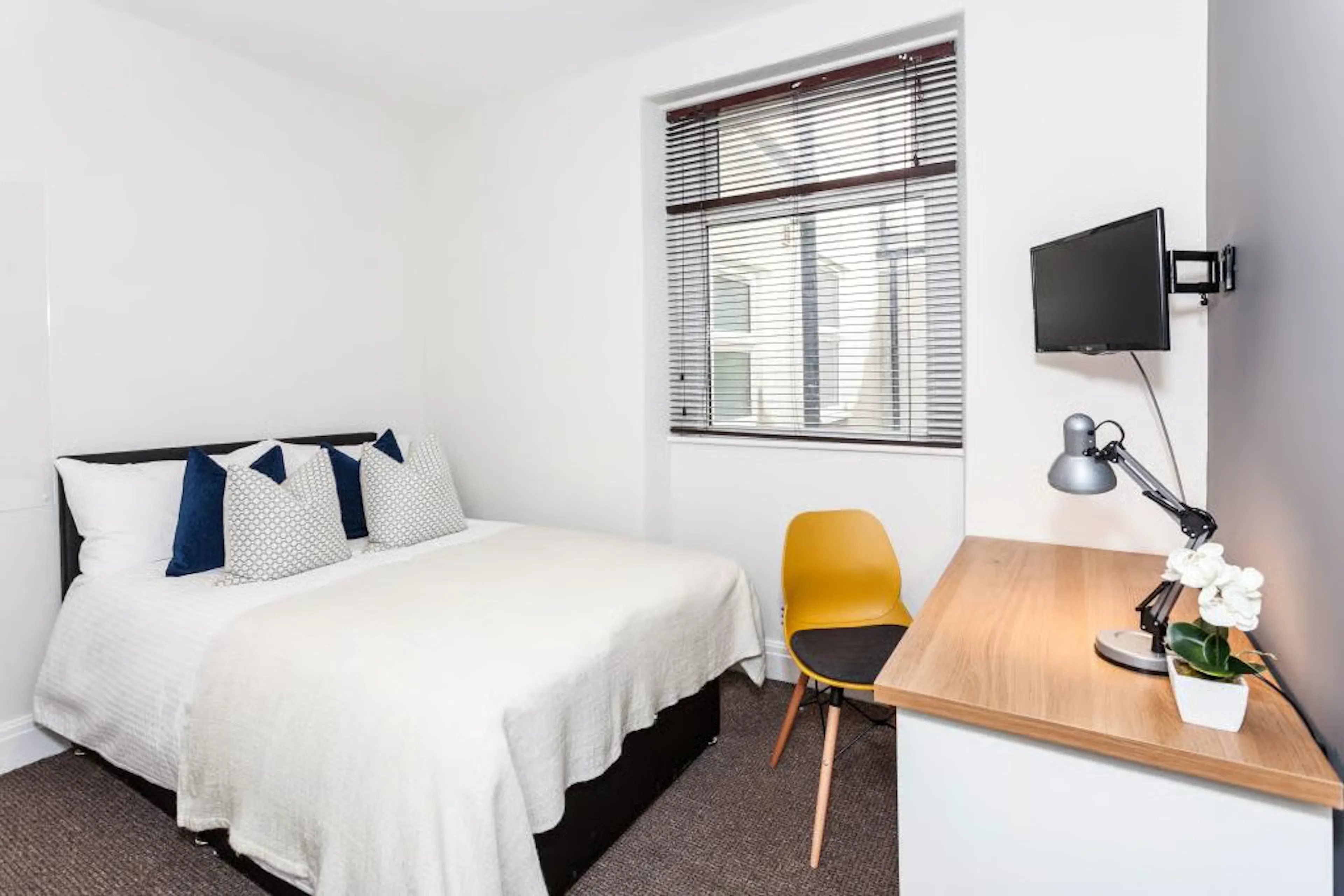 7 Bedroom Apartment ROOM 3