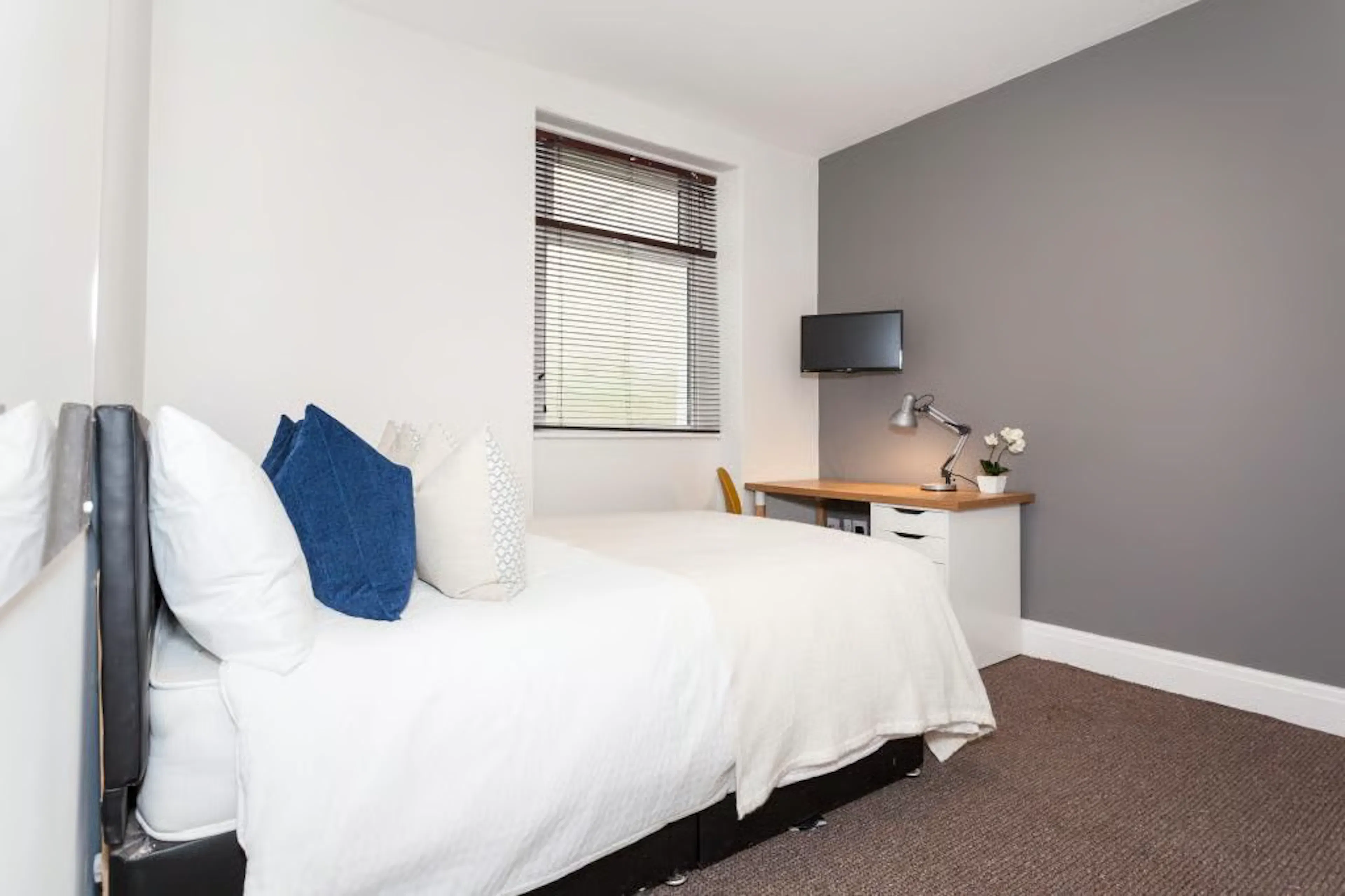 7 Bedroom Apartment ROOM 4