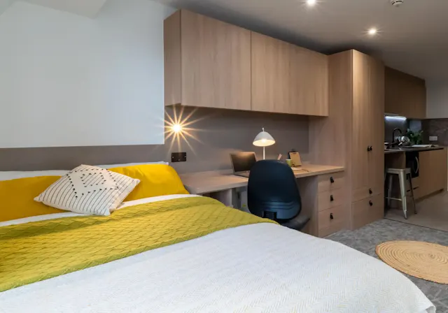 Diamond Studio Plus room image 2