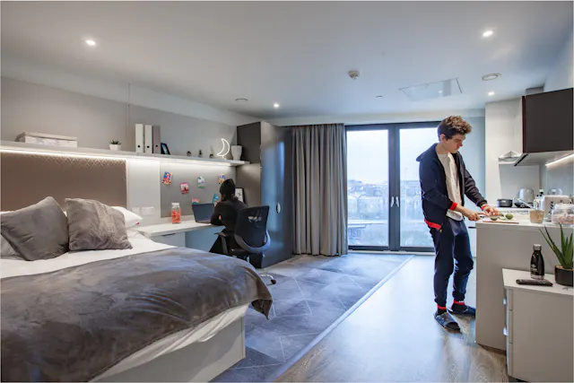 true Accessible Studio room image 1