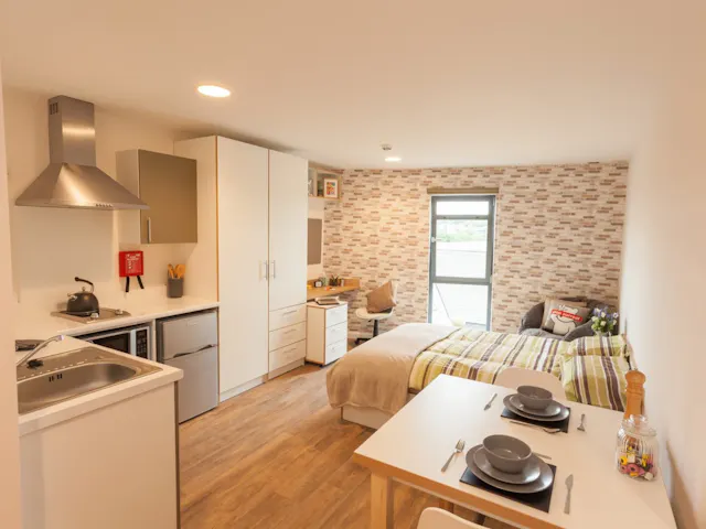 Premium Studio room image 1
