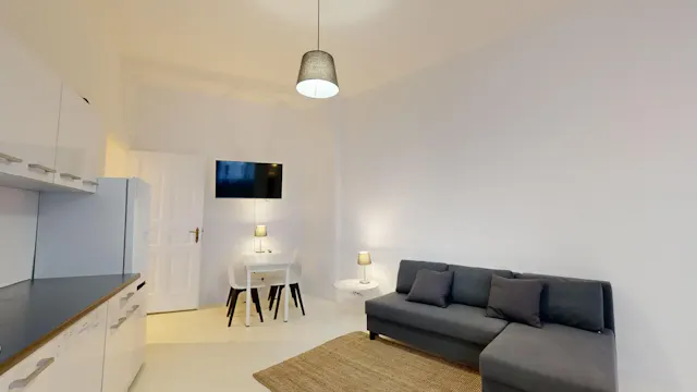 1 Bedroom Apartment room image 3