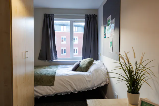Gold Standard room image 4