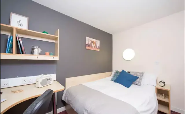 1 Bedroom Apartment room image 2