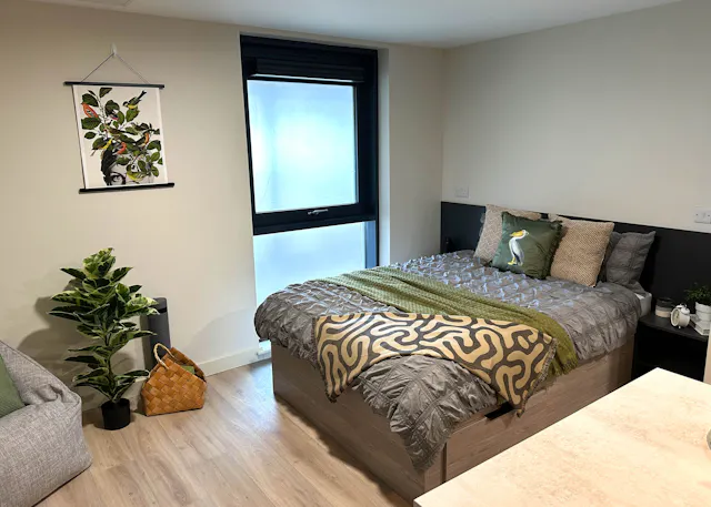 Superior Studio room image 1