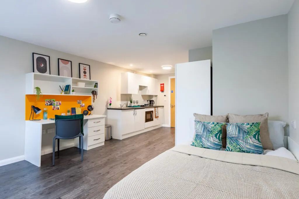 Premier Luxe Studio