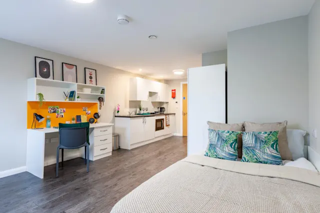 Premier Luxe Studio room image 1