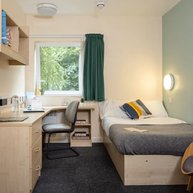 Standard Plus Ensuite room image 1