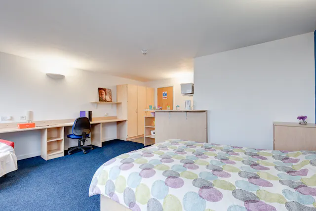 Premier Dual Studio room image 1