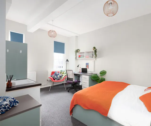 Deluxe room image 1