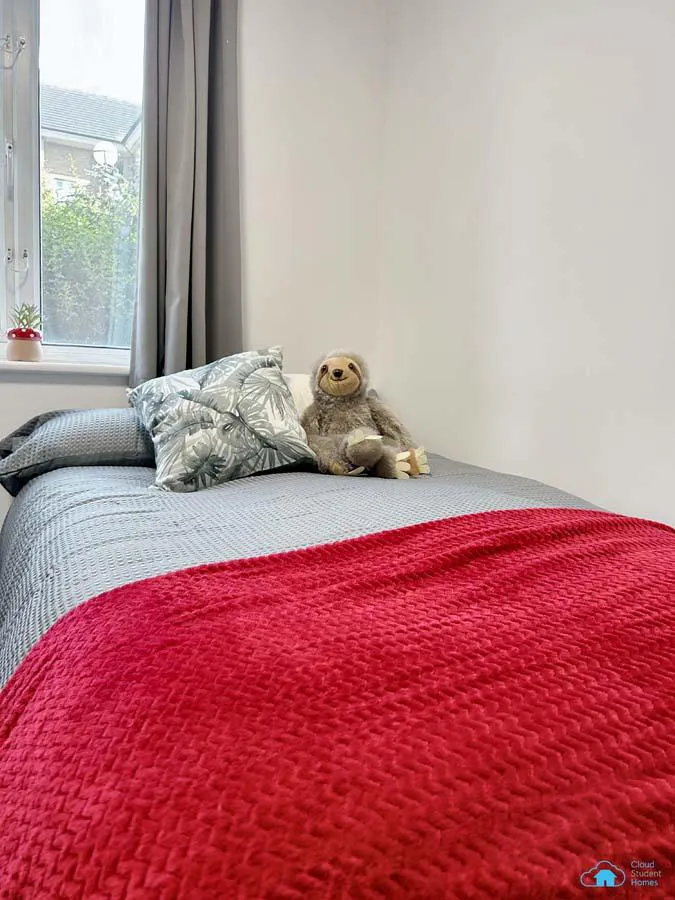 rochester-student-village-london-Classic En-suite Roebuck House