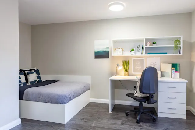 Premier Studio - w/ Accessible Bathroom room image 1