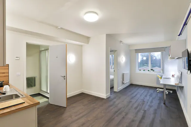 1 Bedroom Apartment room image 3