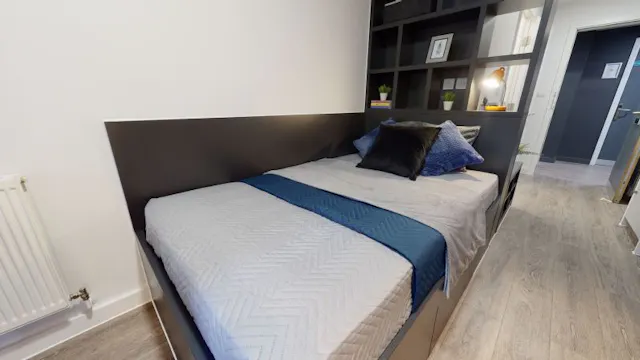 Bronze Studio Plus room image 1
