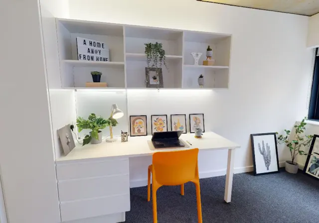 Gold Studio Plus room image 1