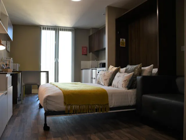 Deluxe Studio room image 1