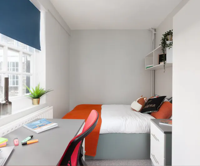 Standard Plus Room room image 1