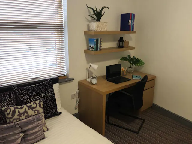 Deluxe room image 1