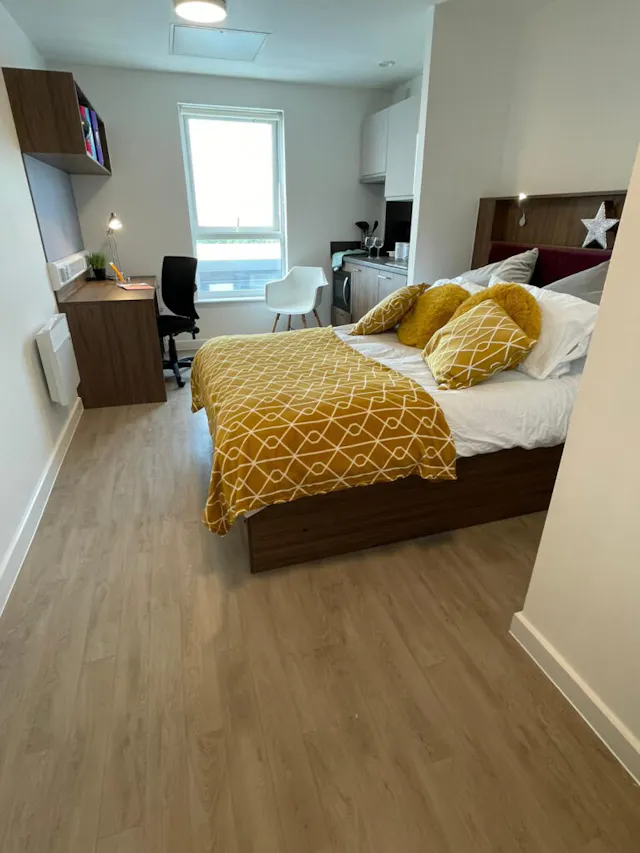 Deluxe Studio room image 1