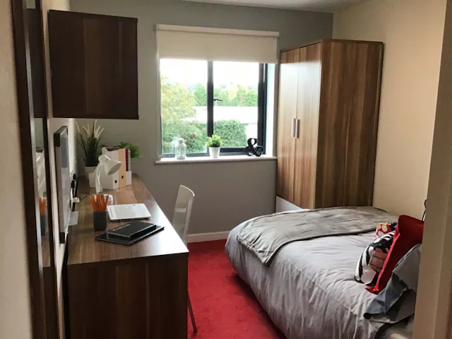 Classic En-Suite Behn Hall room image 1