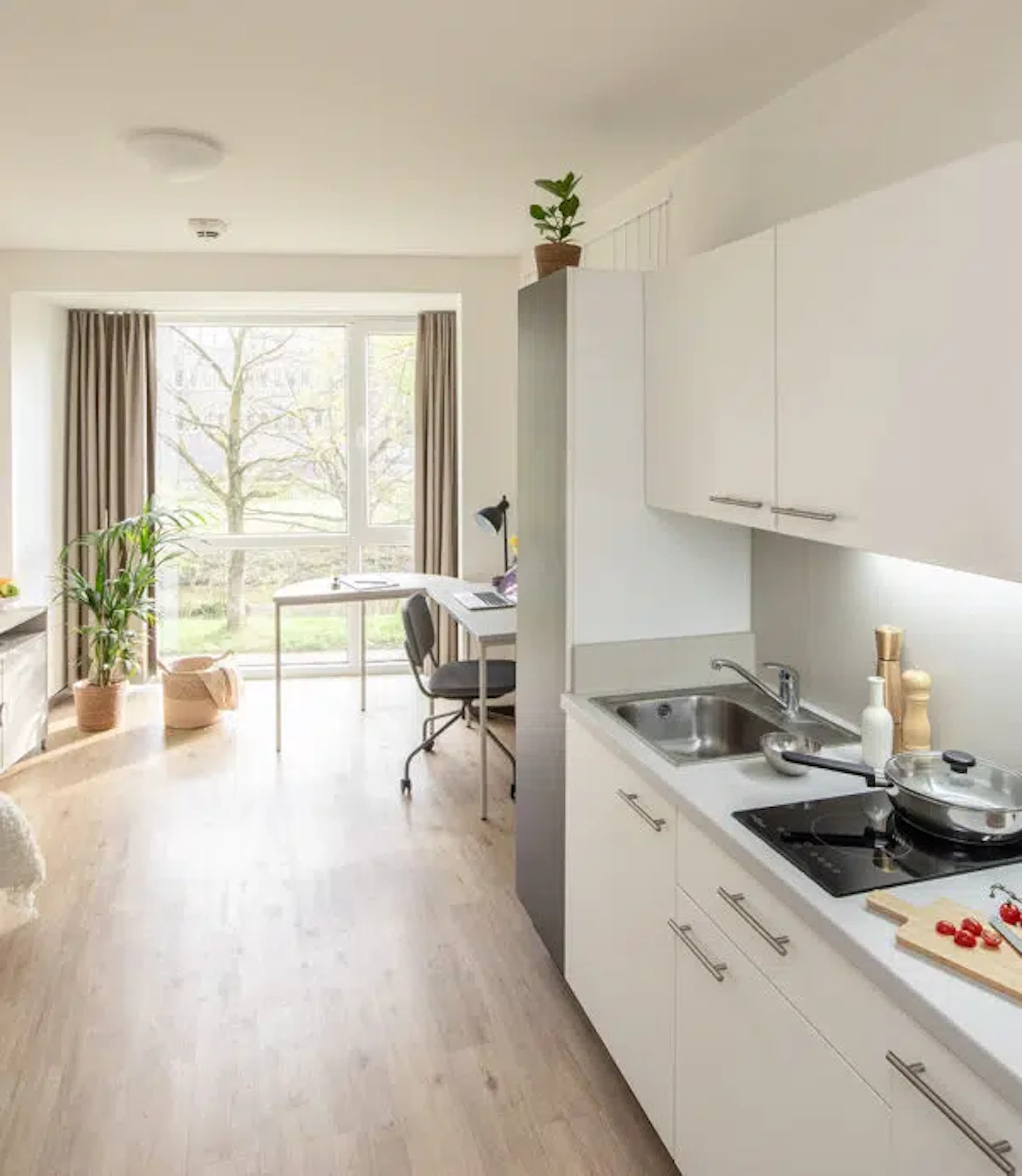 Single Studio KITCHEN 4