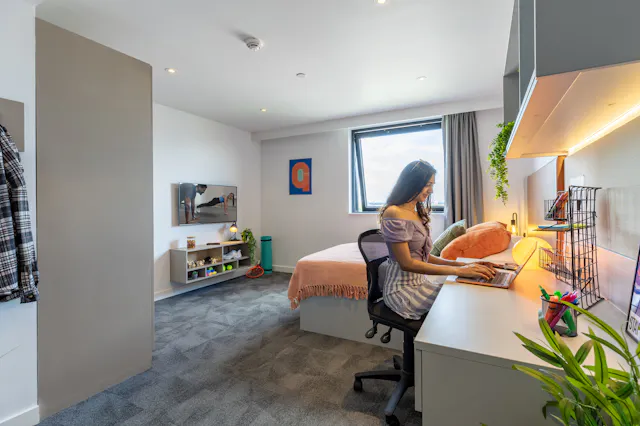 true Superior Apartment Plus room image 1