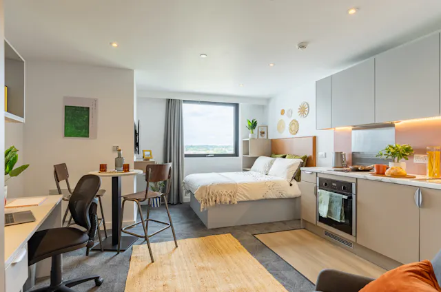 true Superior Studio Plus with City Views room image 1