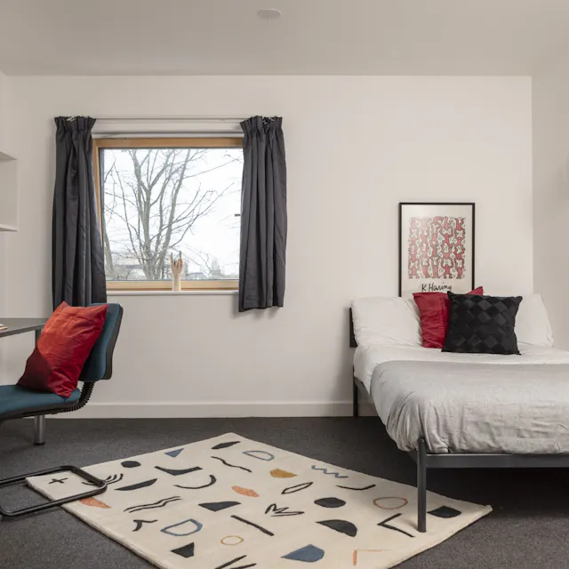 Deluxe Plus room image 1