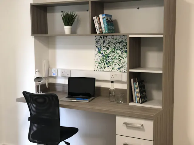 Premier Luxe Studio room image 1