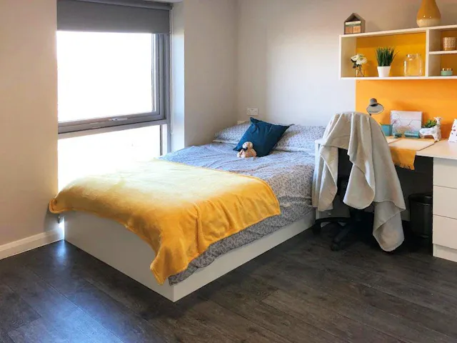 Premier En-Suite - w/ Accessible Bathroom room image 1