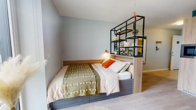 Silver Studio Plus Large room image 1