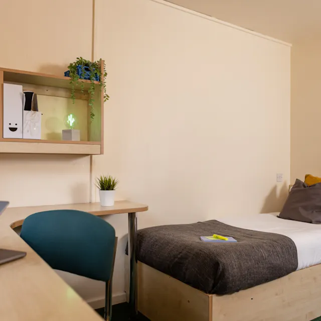 Standard Plus room image 1