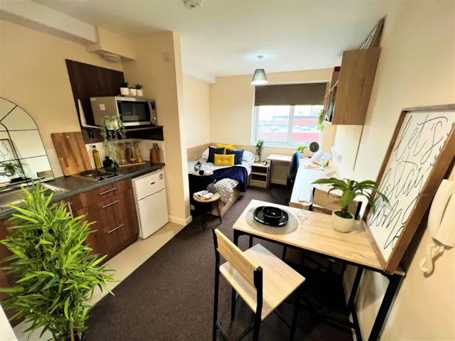 Deluxe Studio room image 1
