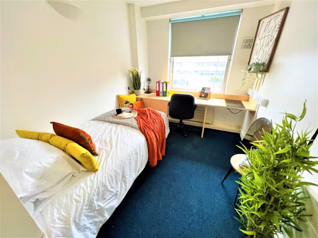 dunn-house-sunderland-Classic Studio-1