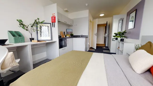 Bronze Studio Plus room image 1