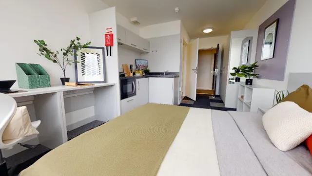 Bronze Studio Plus room image 1