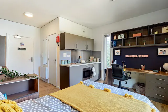 Classic Studio room image 1