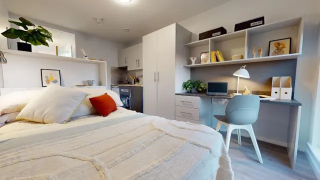Gold Studio Plus room image 1