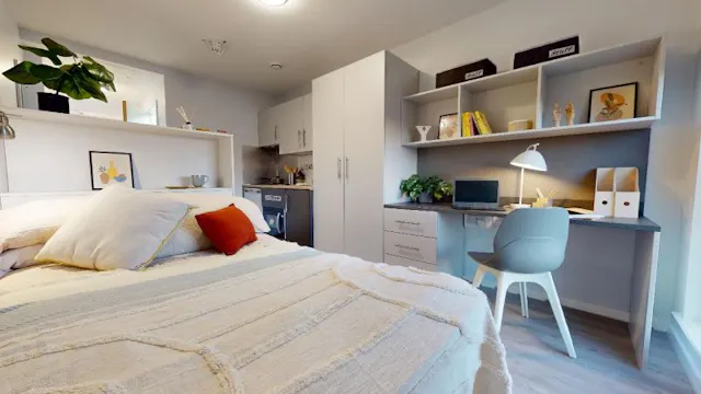Gold Studio Plus room image 1