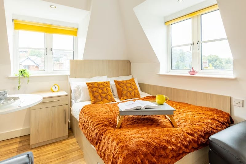 Platinum Studio Plus