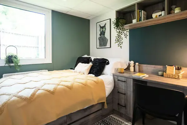 Luxury Ensuite Plus room image 1