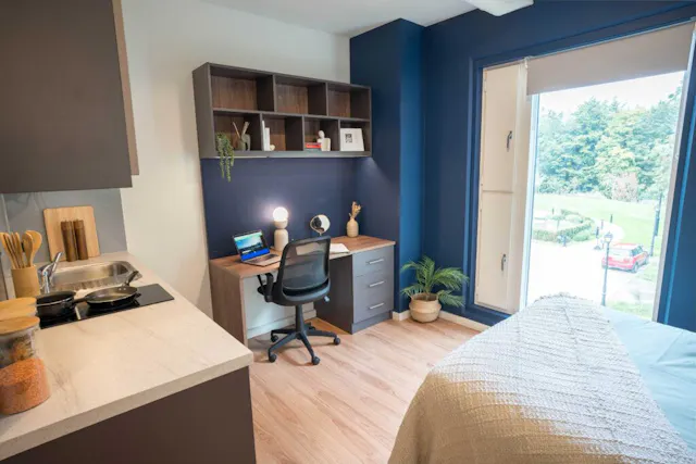 Premium Studio room image 1