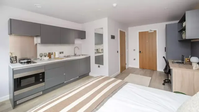 Large Premium Studio room image 1
