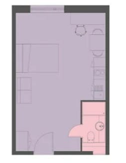 Platinum Studio